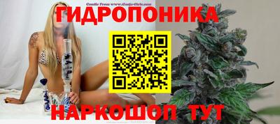 гидропоника Ипатово
